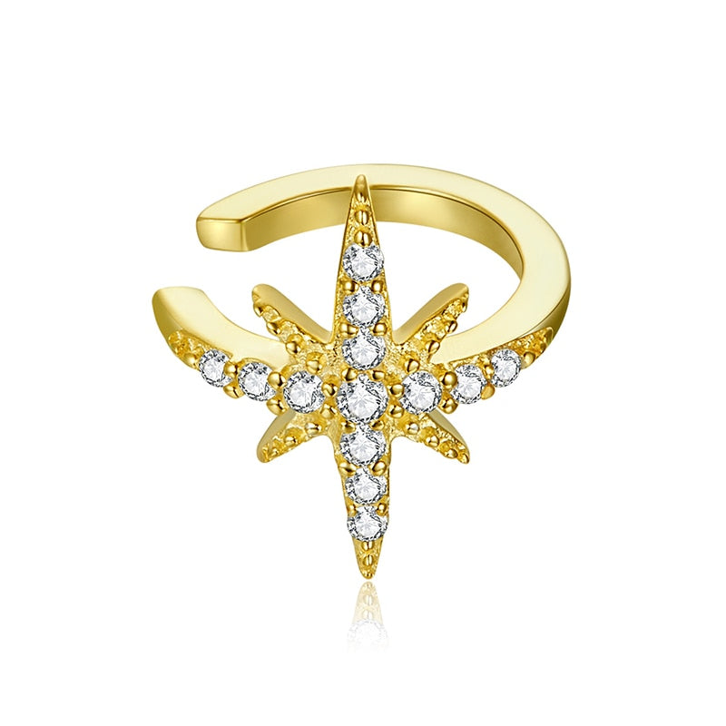 Boucle d'oreille en argent