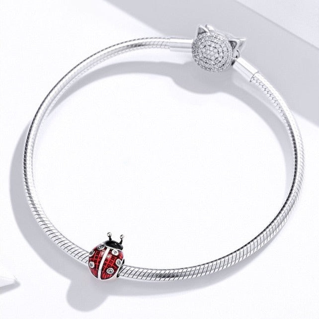 Charme modulaire - Coccinelle