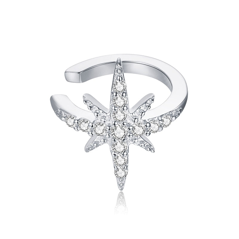 Boucle d'oreille en argent